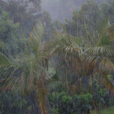 Heavy monsoon rainfall 