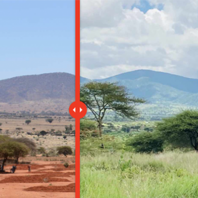 Before and after image of grassland restoration in Tanzania