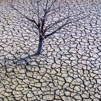 Spanish drought 