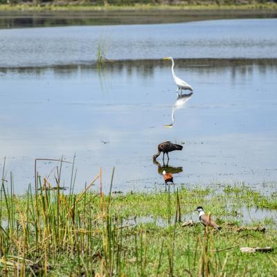 Lake Kenyatta protection 