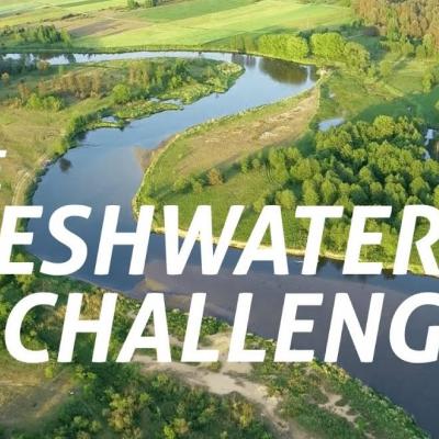 Freshwater Challenge 