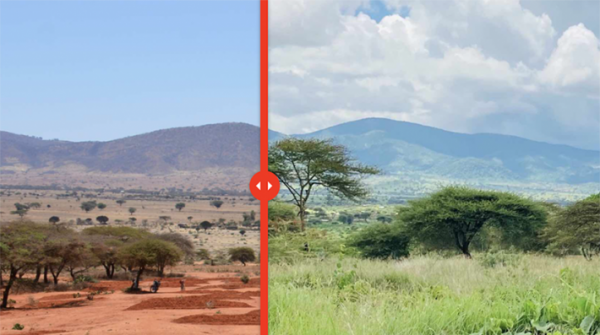 Before and after image of grassland restoration in Tanzania