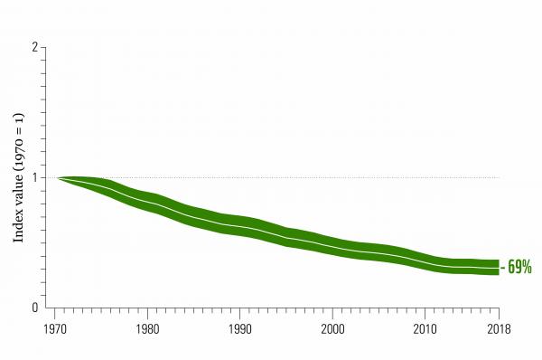 Decline in species numbers 