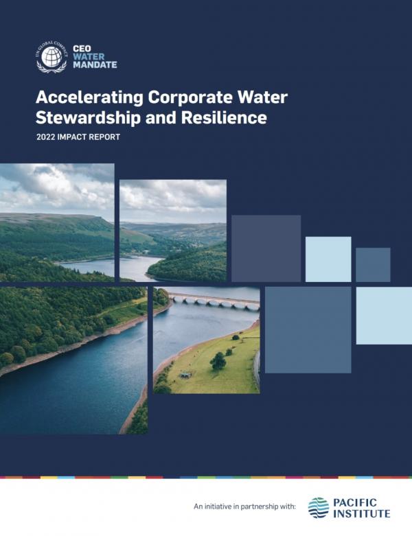 CEO Water Mandate Impact Report 